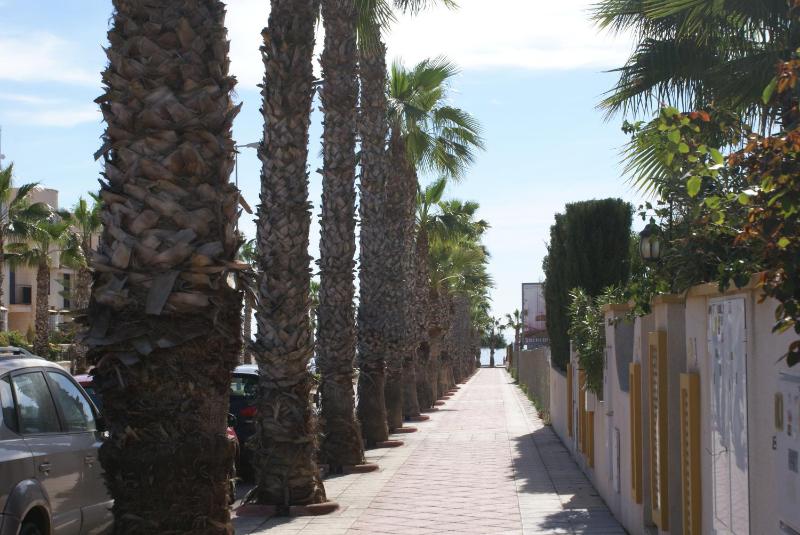 Oriheula Costa Cabo Roig 5 - image 7