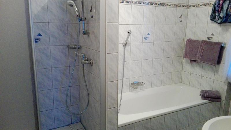 One-Bedroom Apartment image 2