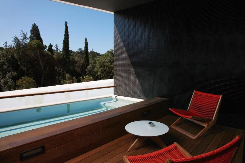 Deluxe Plunge Pool Room image 1