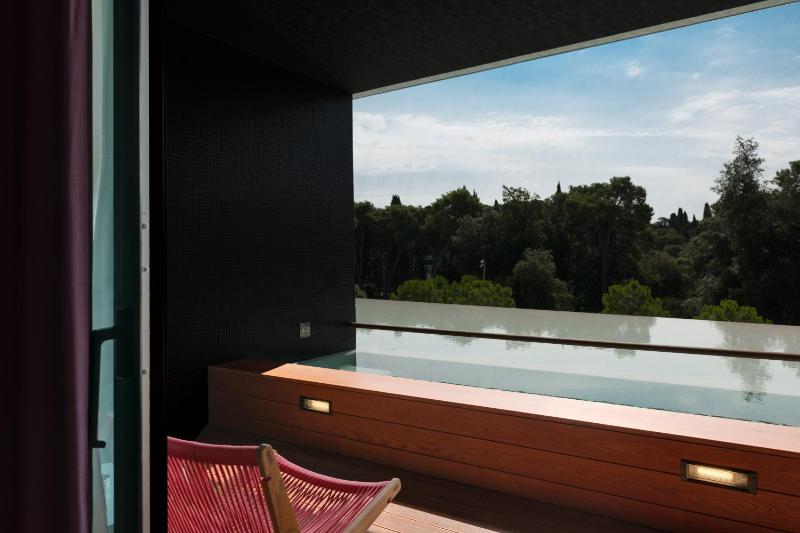 Deluxe Plunge Pool Room image 3