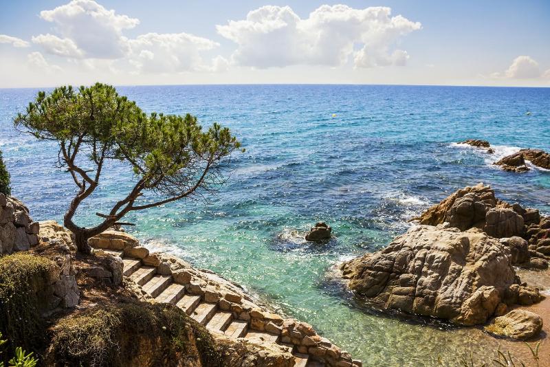 Bertur Gran Reserva Comte Empuries - image 34