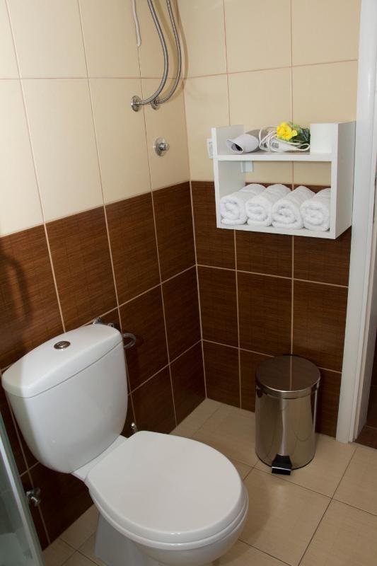 One-Bedroom Apartment image 4