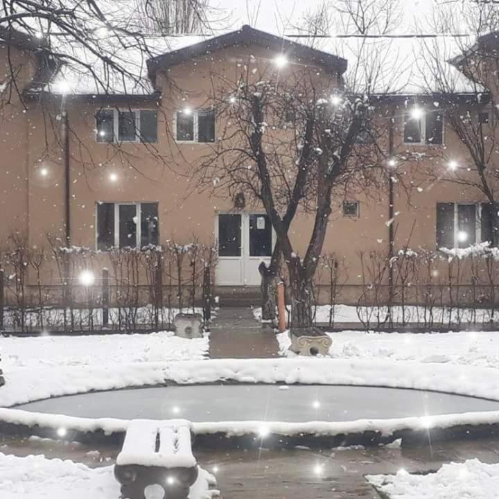 Casa Dobrescu Centura De Nord - image 7