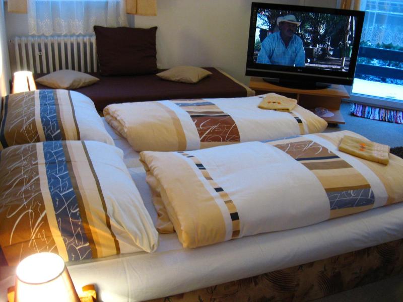 Double or Twin Room image 2
