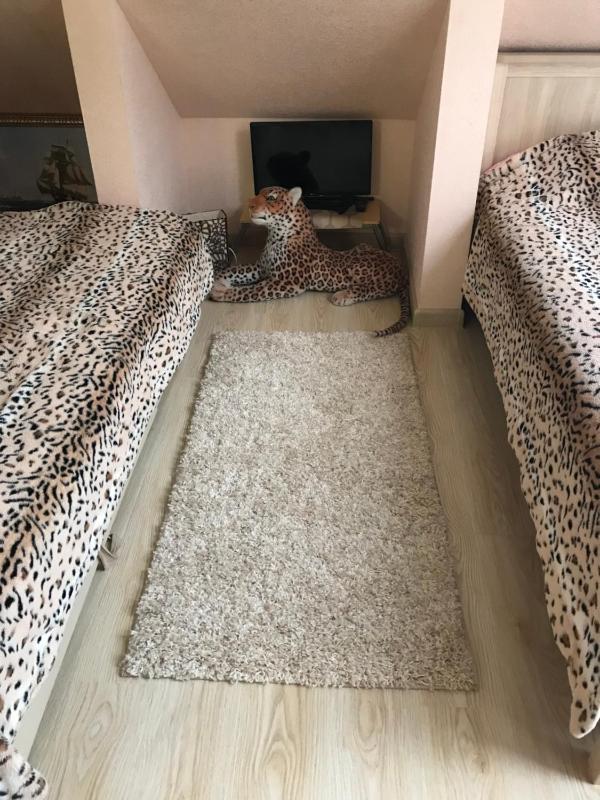 Large Double Room image 2