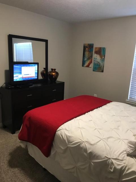One-Bedroom Apartment image 2