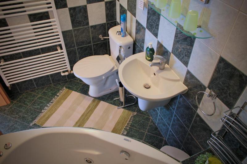 One-Bedroom Apartment with Balcony image 4