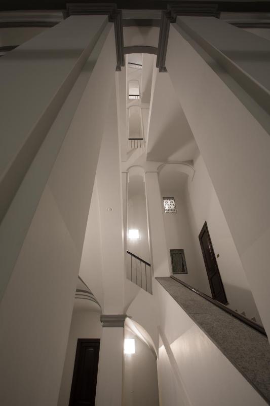Rapanus Suites - image 10
