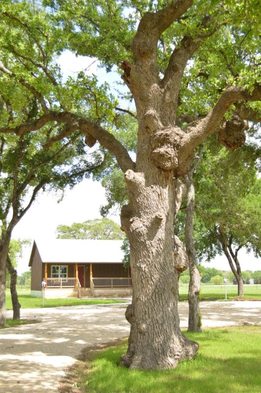 Vineyard Trail Cottages- Adults Only - image 13