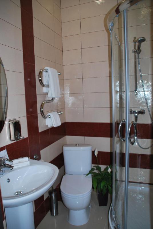 Standard Twin Room image 3