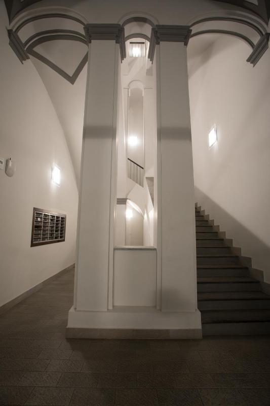 Rapanus Suites - image 11