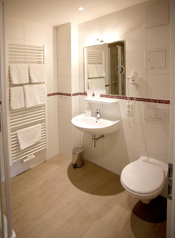 Standard Double Room image 3