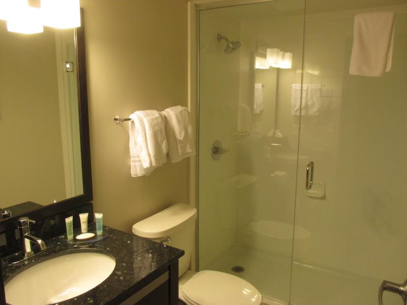 One-Bedroom King Suite with Sofa Bed - Non-Smoking image 3