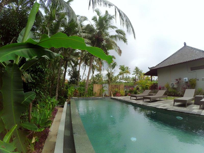 Amaya Ricefield & Jungle Cottages by Best Living - image 12
