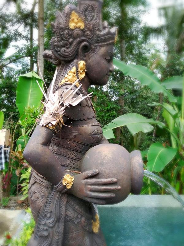 Amaya Ricefield & Jungle Cottages by Best Living - image 6
