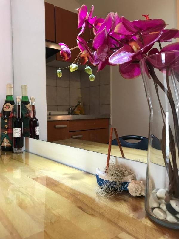 Apartment with City View image 4