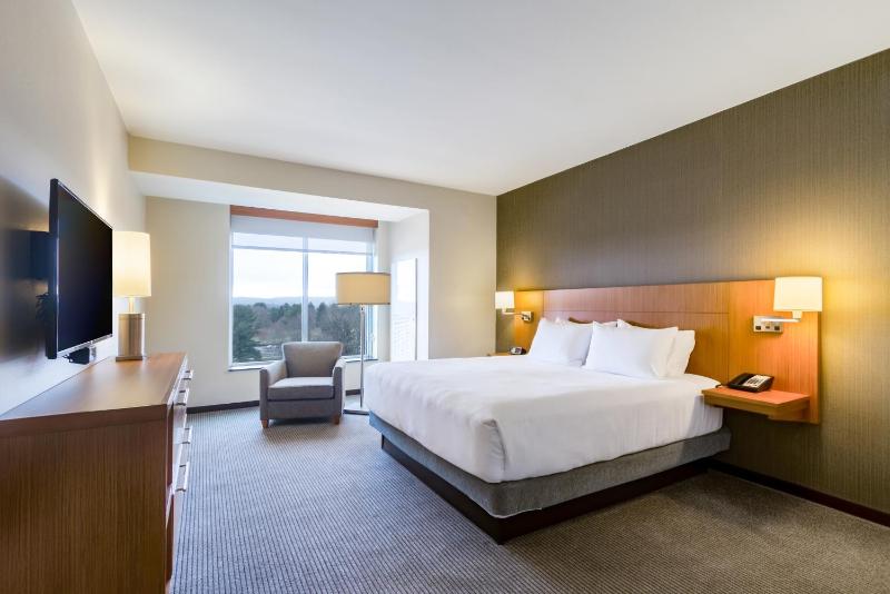 One-Bedroom King Suite with Sofa Bed image 3