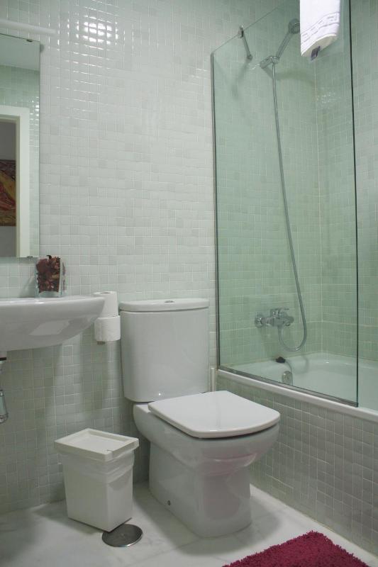 Two-Bedroom Apartment - Penthouse image 3