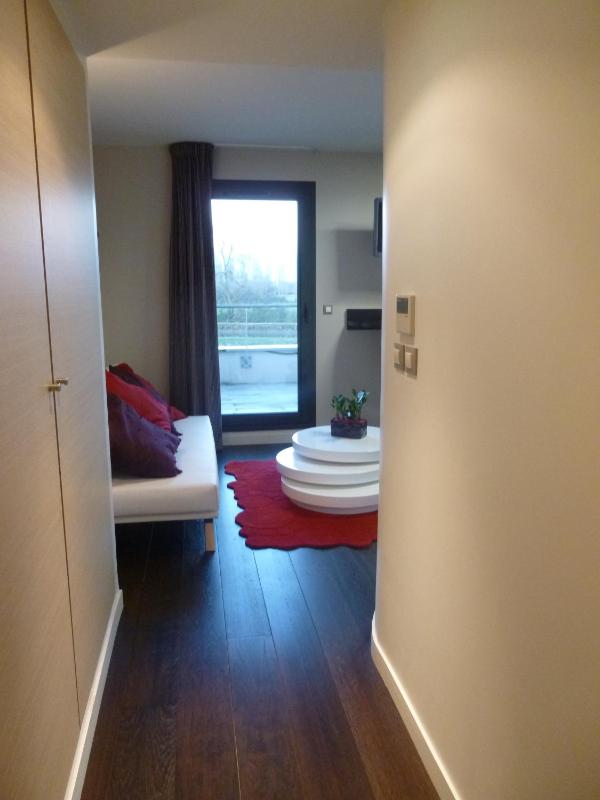 Suite with Canal and Garden View image 4