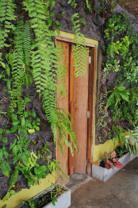 Visit Natural Detox Resort - image 39