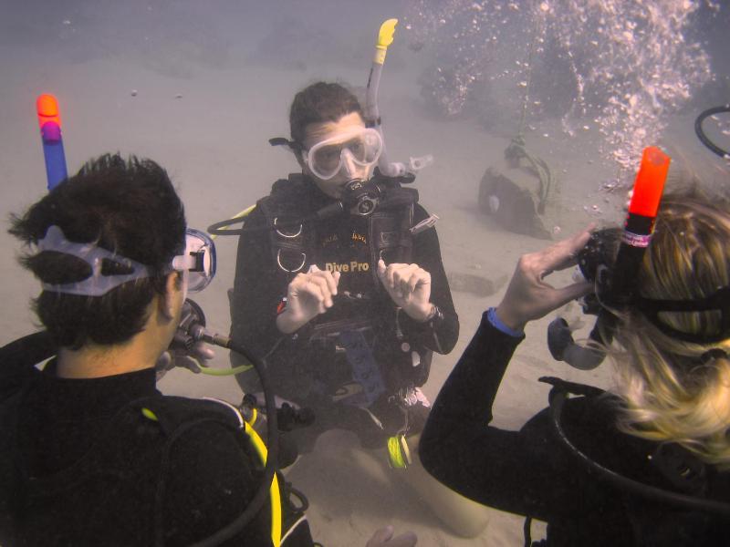 Oonas Dive Club - image 10