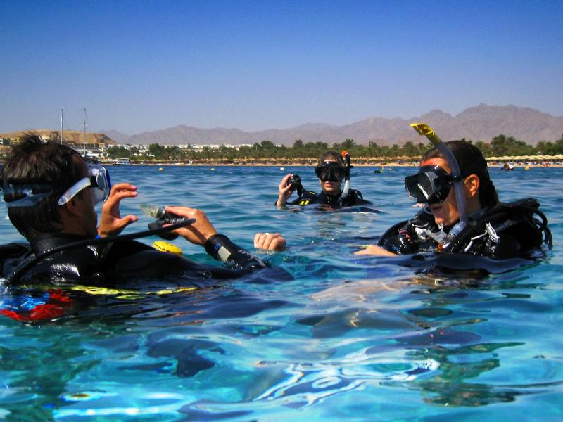 Oonas Dive Club - image 21