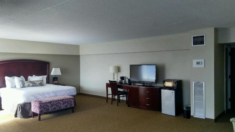 Superior King Suite image 3