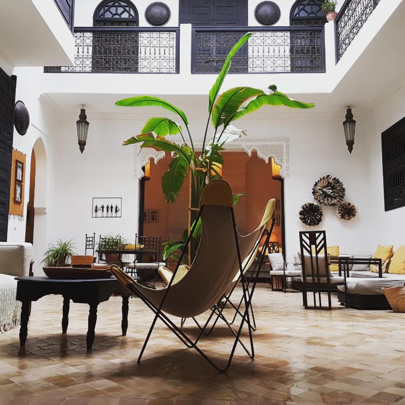 Riad Danka - image 2