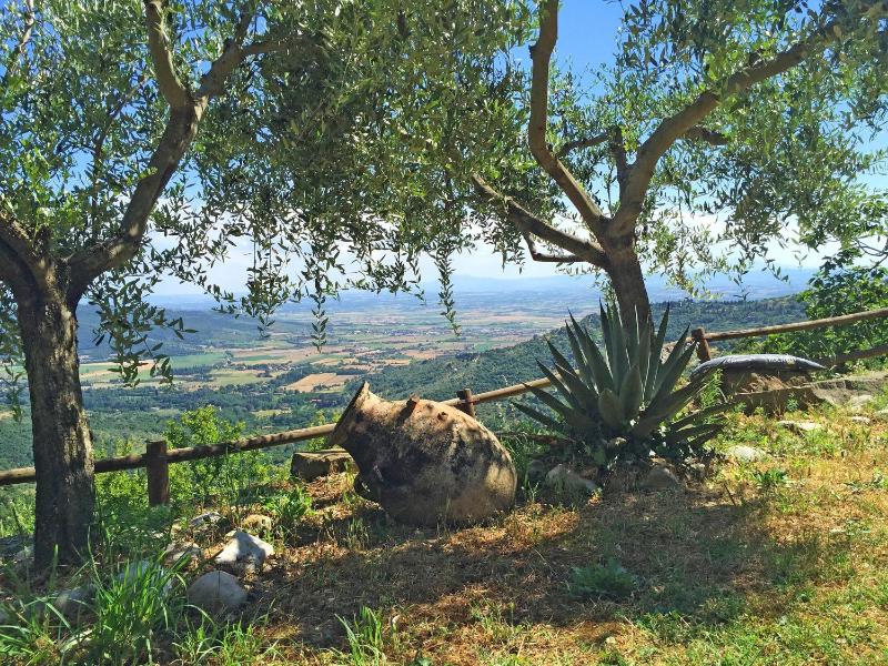 Villa Del Sole - image 27