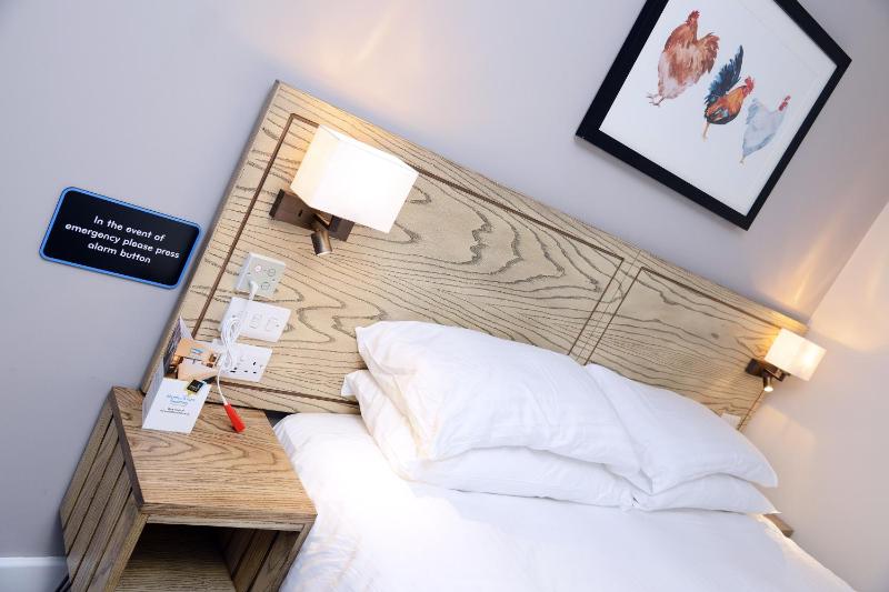 Twin Room - Disability Access image 3