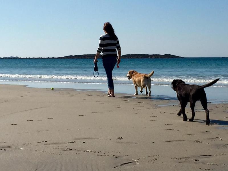 Roselands caravan park Nr Lands End Cornwall - image 33