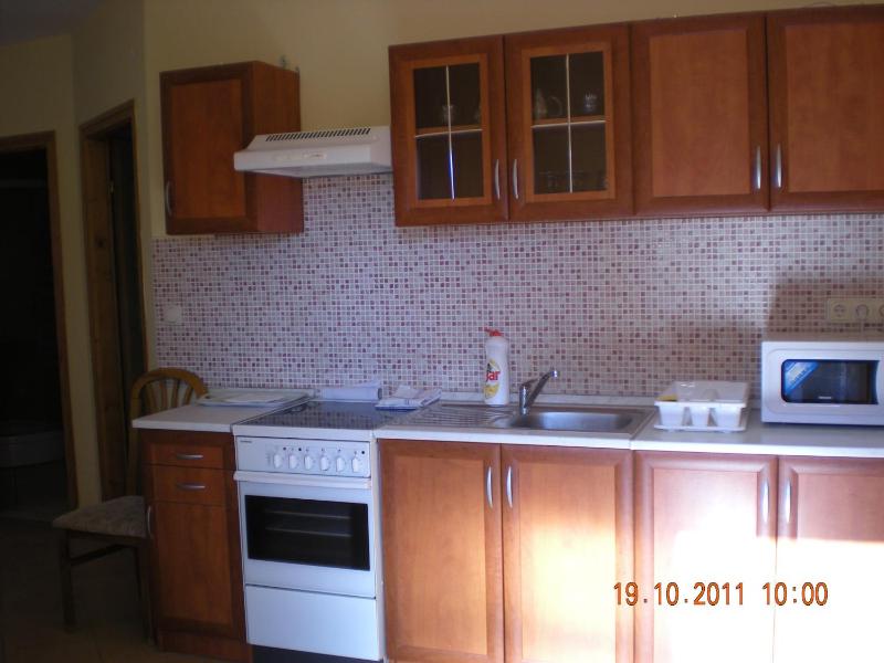 Superior One-Bedroom Apartment with Balcony image 4