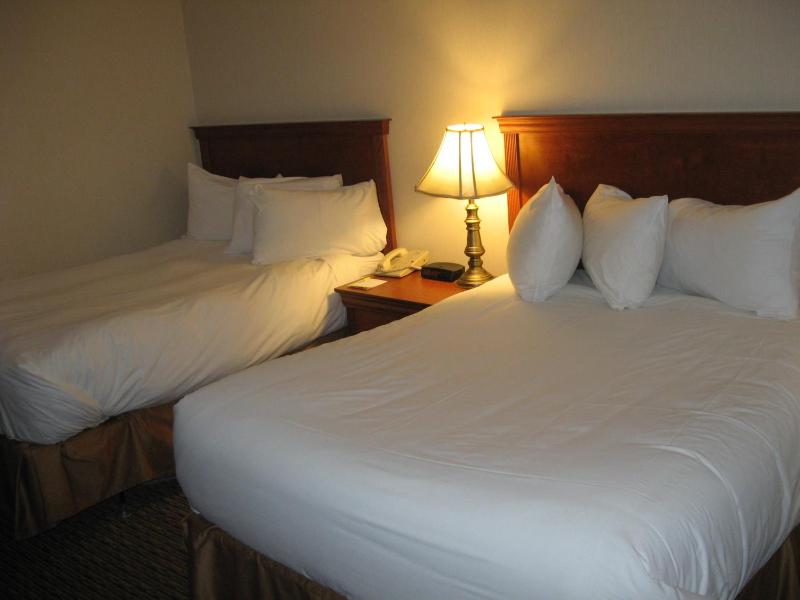 Hotel Chrome Montreal Centre-Ville - image 2
