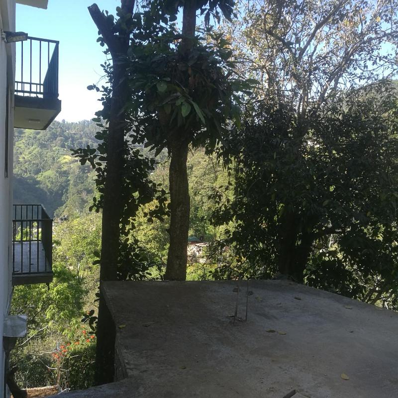 Viewfront Ella - image 16