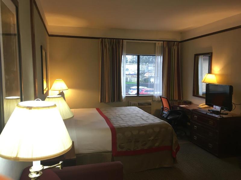 Deluxe King Suite - Non-Smoking image 3