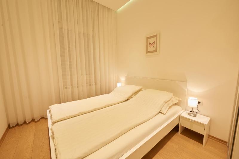 Deluxe Apartment image 4
