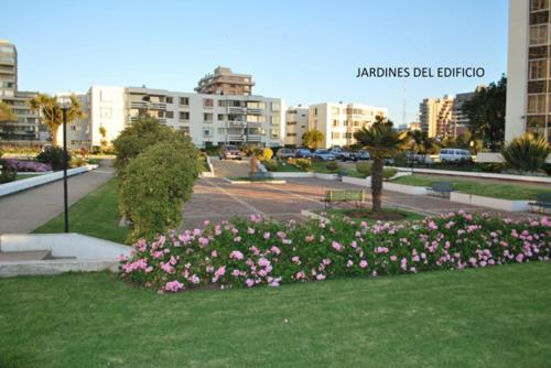 Frente a Playa - 3 dorms 2 baños parking WiFi 2 cuadras MALLS - image 8