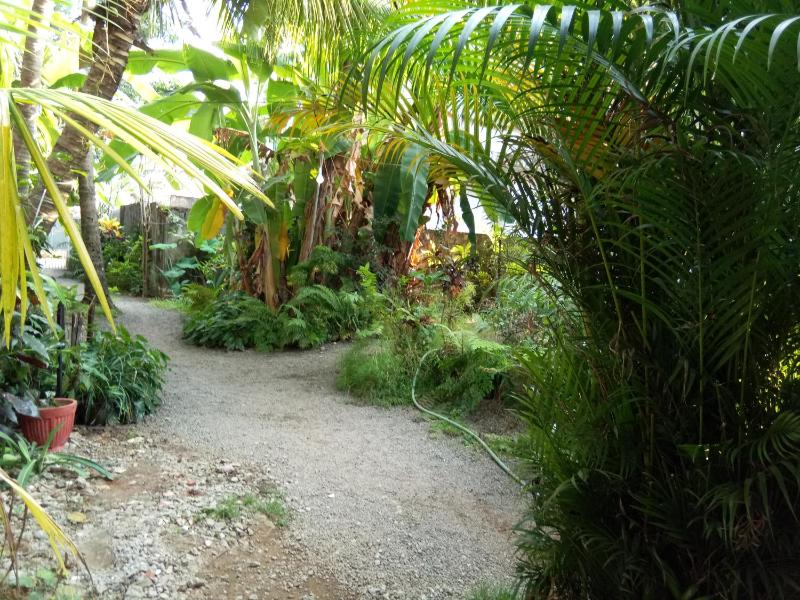 Coconut Grove - image 11