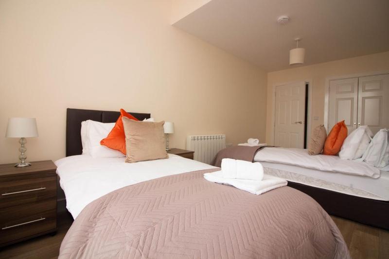 One-Bedroom Apartment image 4