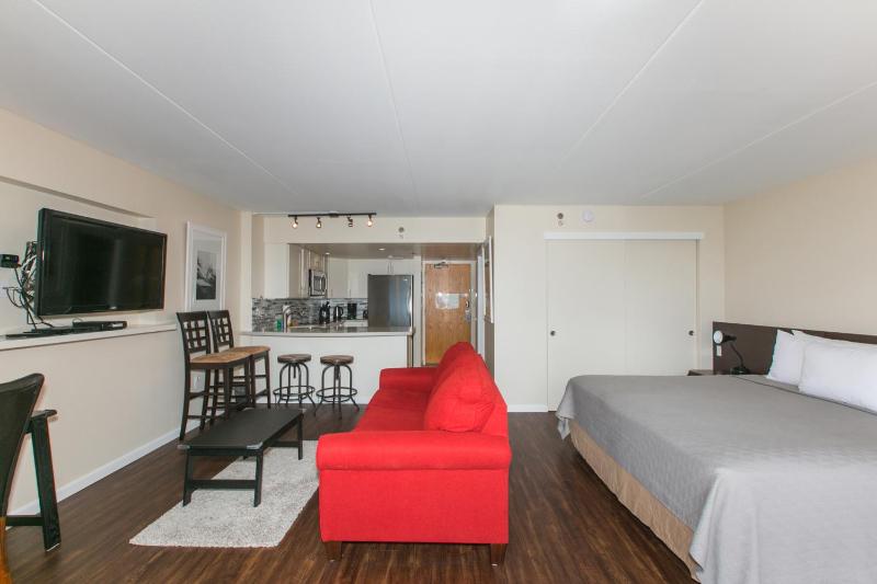 One-Bedroom Apartment image 2