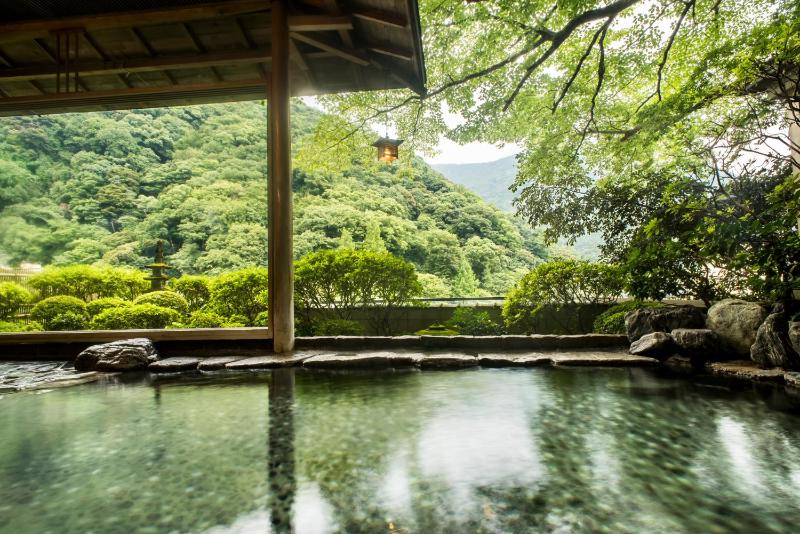 Yamagaso - image 11