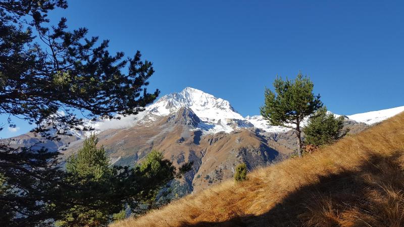 Four-Bedroom Holiday Home image 3