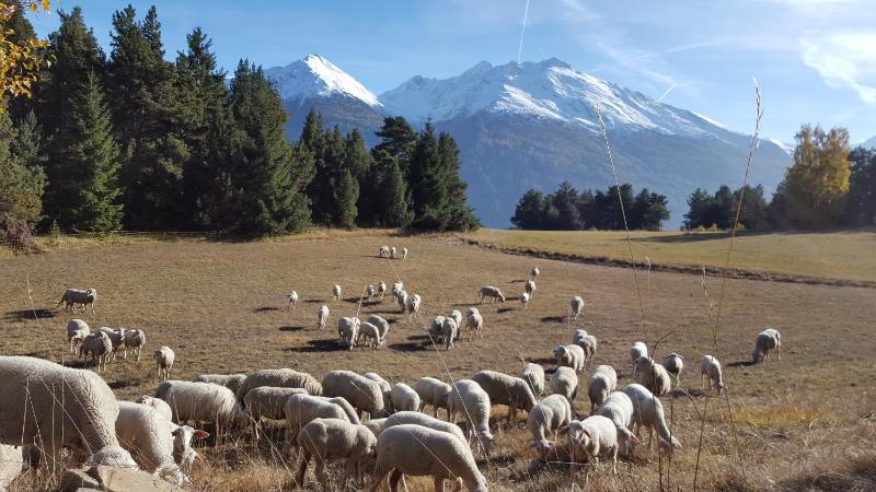 Four-Bedroom Holiday Home image 4