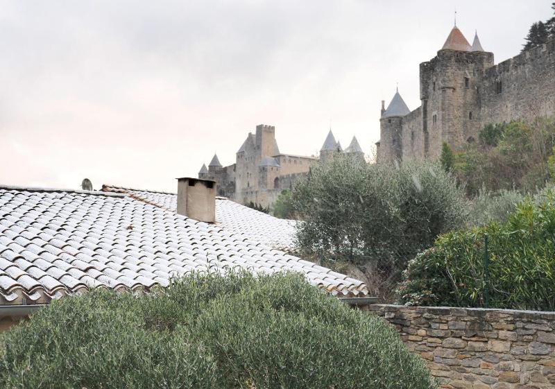 Sous les courtines - image 11