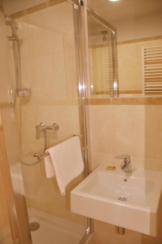 Single Room image 3