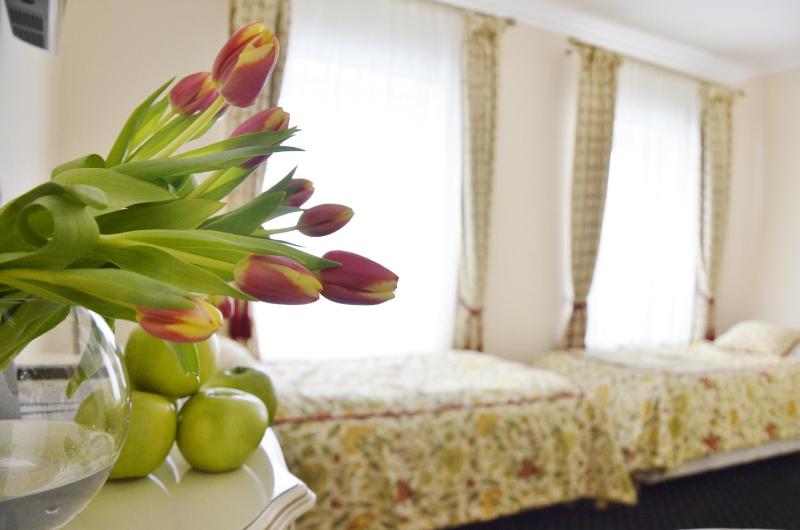 Standard Twin Room image 2