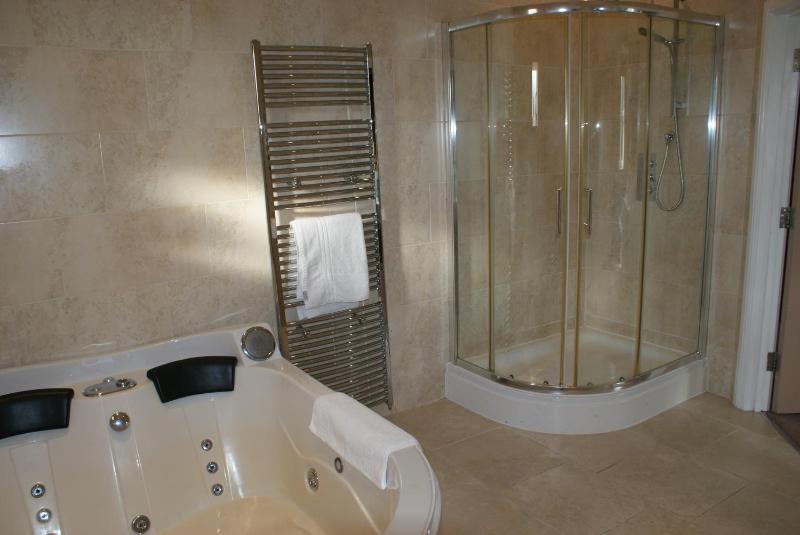 Suite image 4
