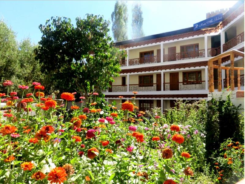 Hotel Abu Palace - image 12