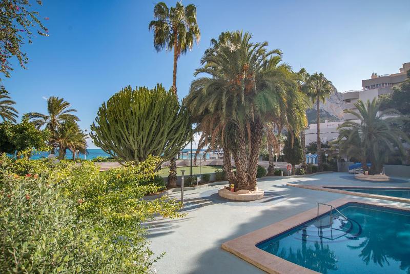 Three-Bedroom Apartment (7 Adults) image 3