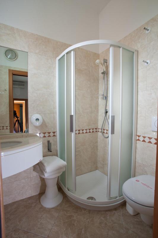 Large Single Room image 4
